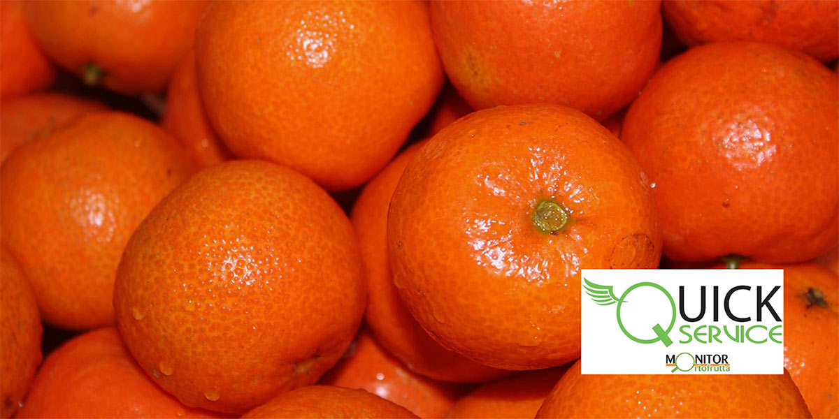 Week 49: crescita a doppia cifra per l’ortofrutta a peso imposto